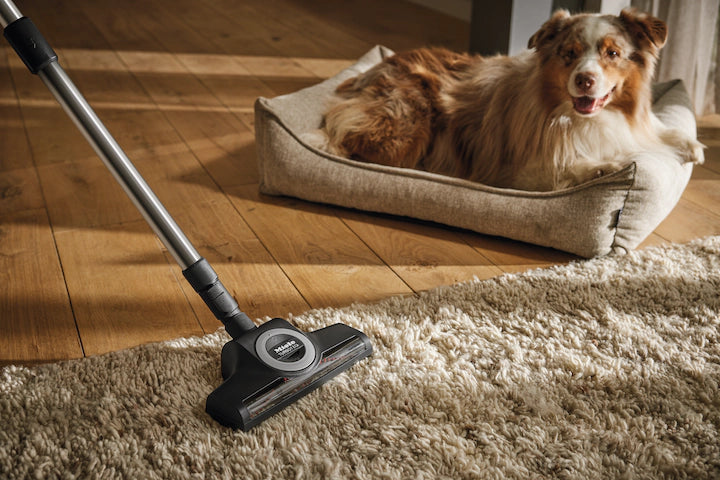 Brosse à tapis TurboTeQ STB 305-3