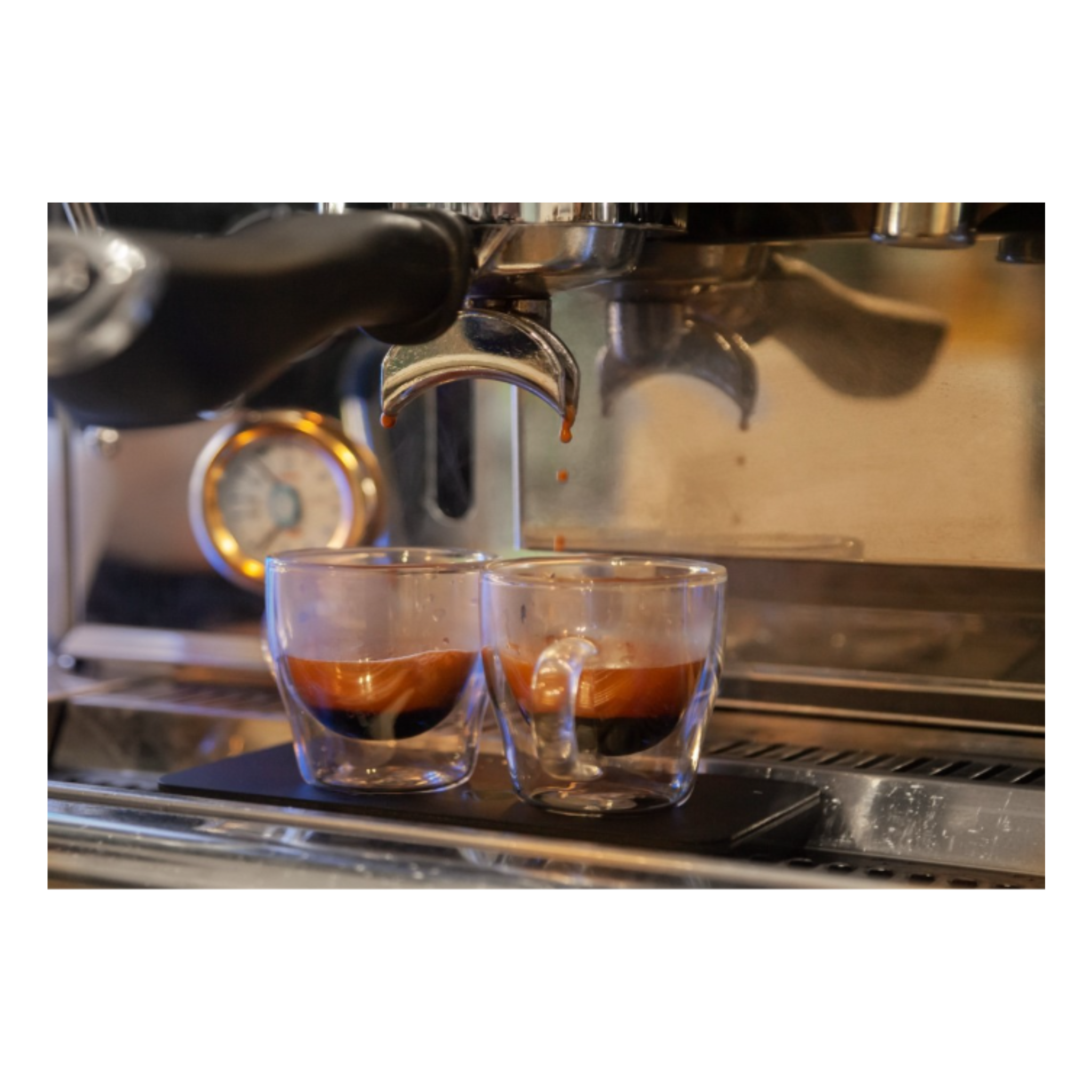 Elixir Panacea Blend