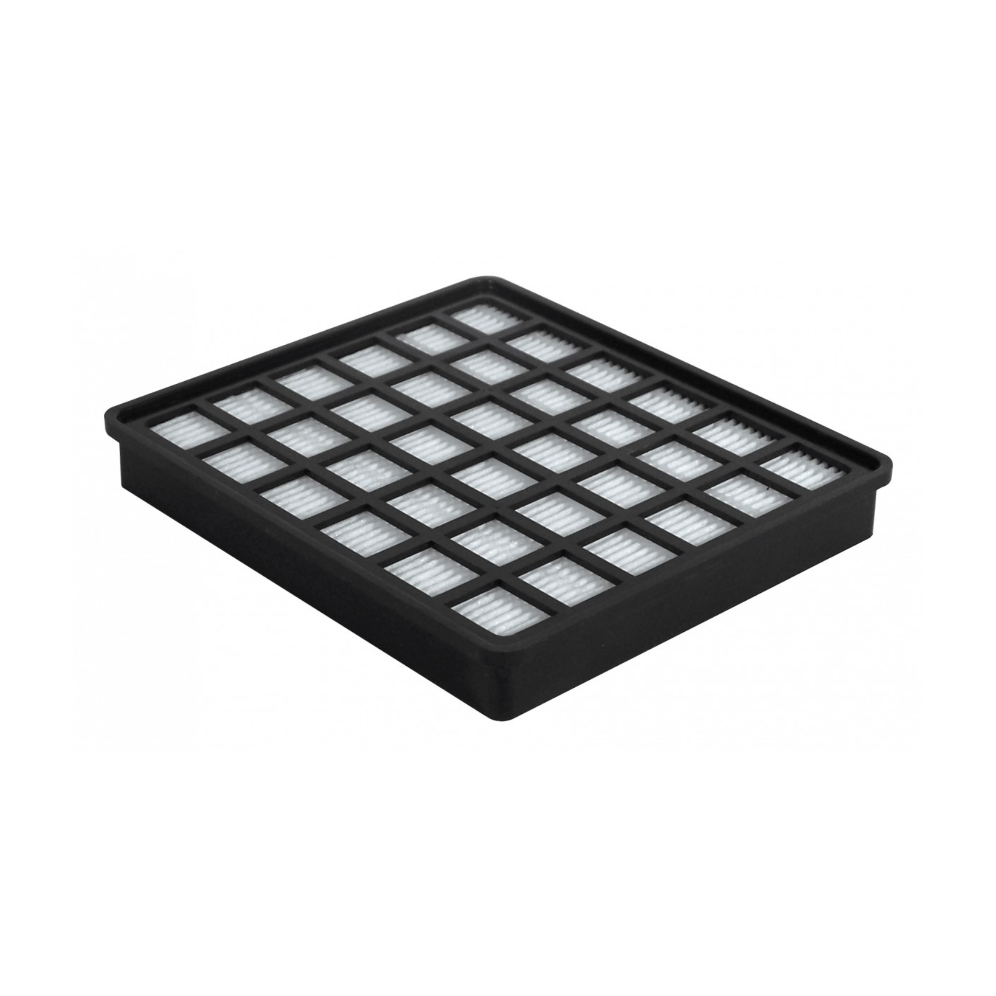 Filtre plissé secondaire pour aspirateur dorsal Carpet Pro BP1000